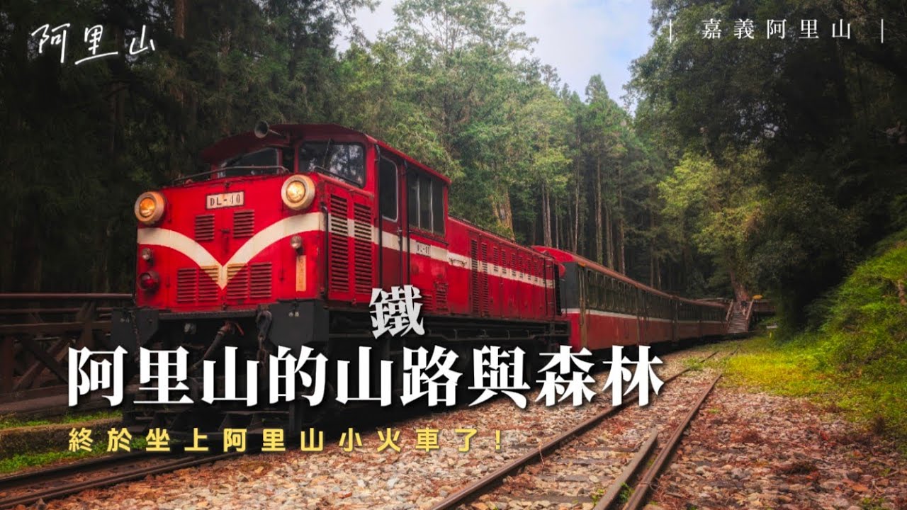 阿里山國家森林遊樂區初體驗！終於坐上阿里山小火車了！神木超級壯觀啊！【伐木累出遊 DAY1】｜草嶺公路、阿里山公路 & 阿里山森林遊樂區｜【賴同學 Student Lai】