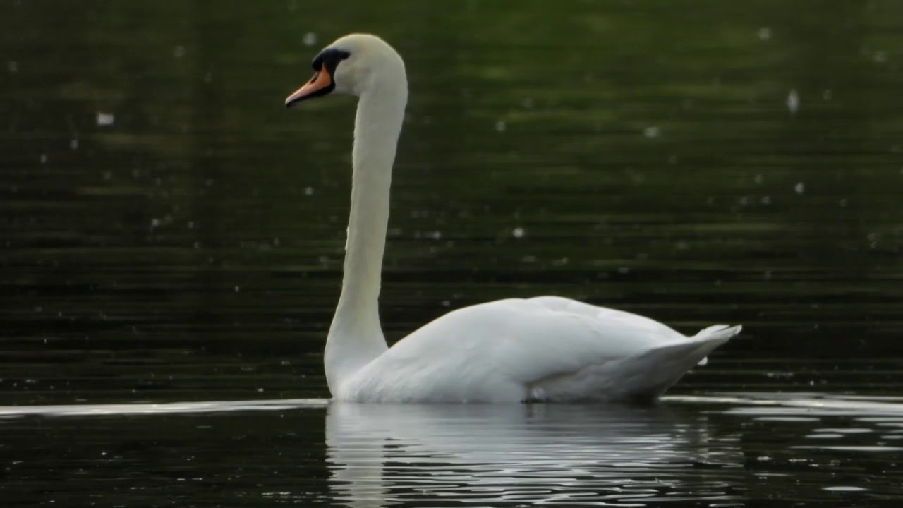 Brandon Marsh: 5th October 2019.