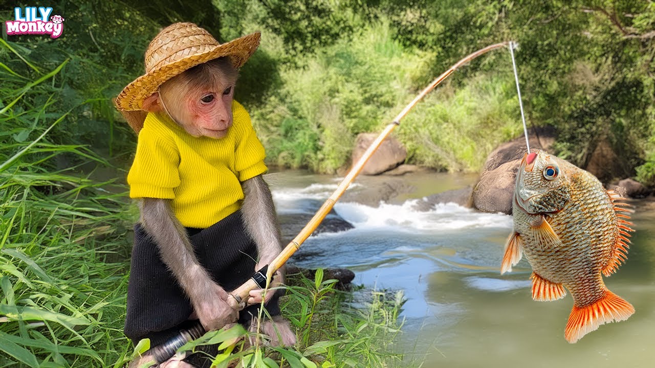 How exciting! Dad finally finished his work and took Lily fishing by the river | Lily's story