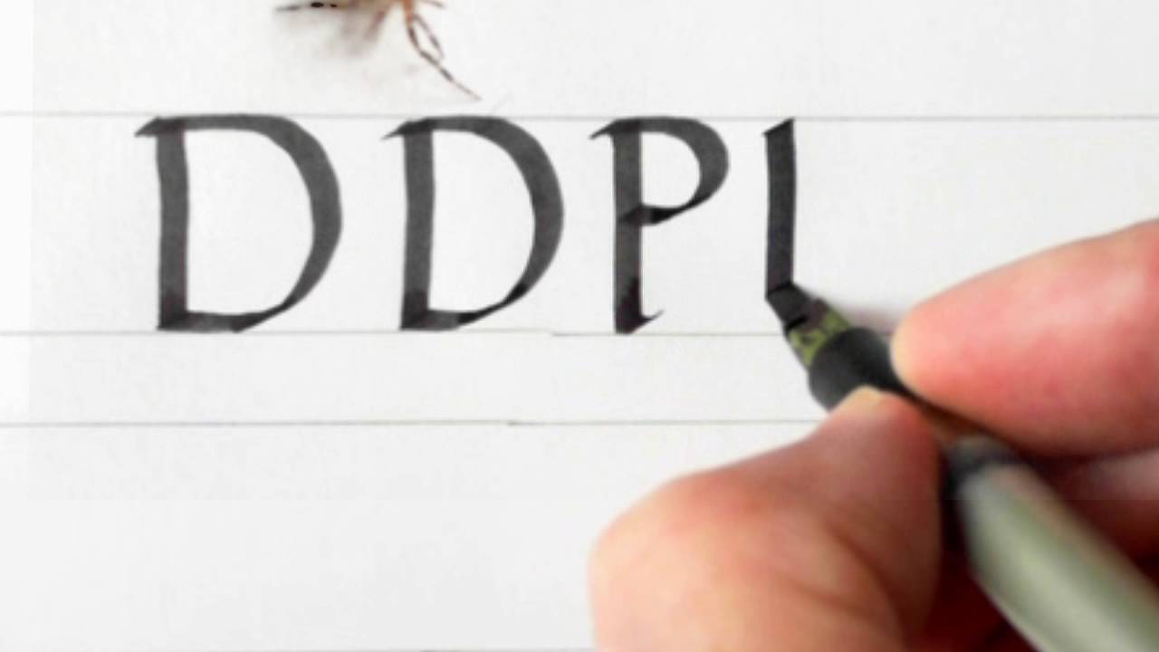 Calligraphy 28 Foundational Hand Capitals    P, B, D, R