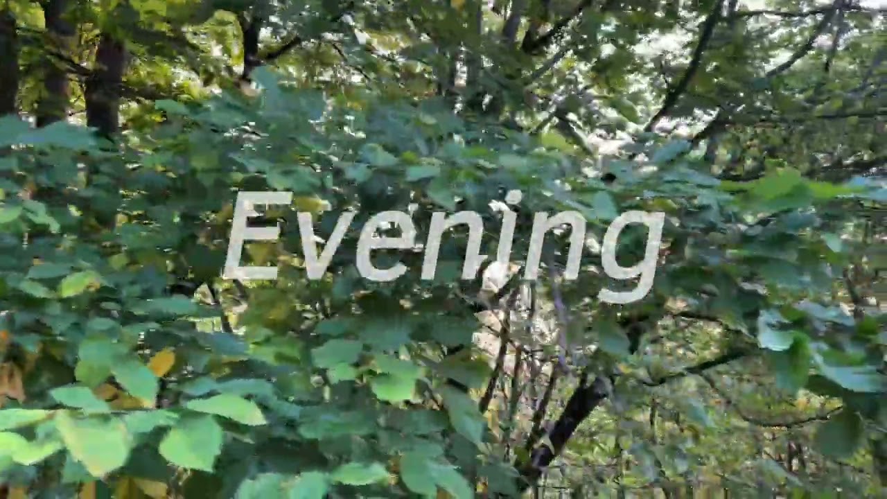 Evening ( Kaunas / Lithuania 2024 ) .