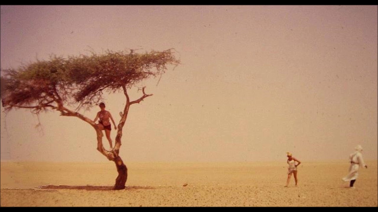 Groupe Sogha  - Air T&eacute;n&eacute;r&eacute;