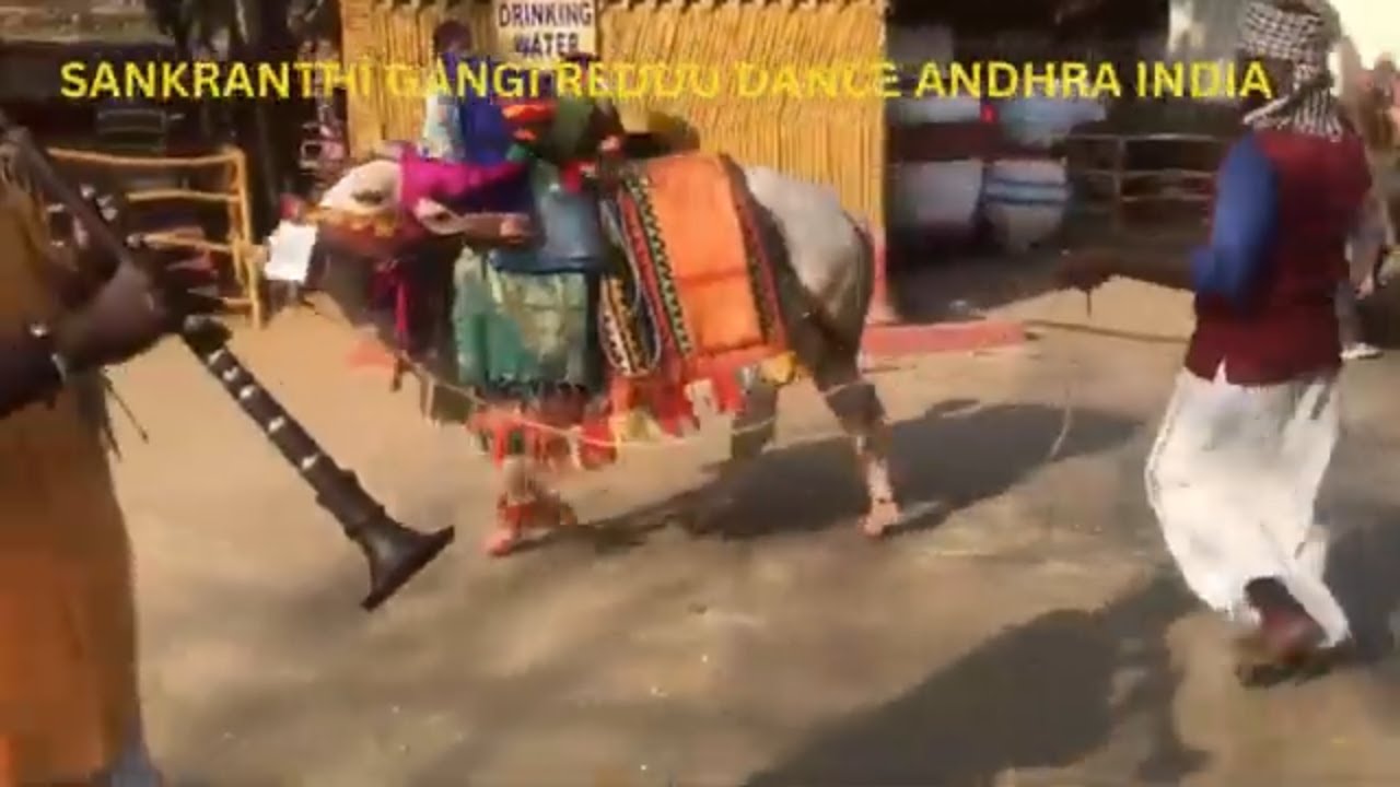 SANKRANTHI GANGI REDDU DANCE ANDHRA INDIA 