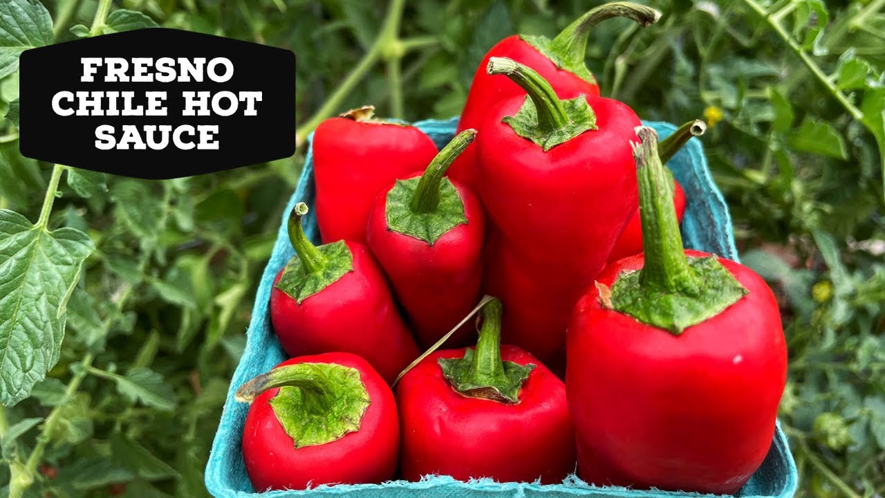 Fresno Chile Hot Sauce Recipe