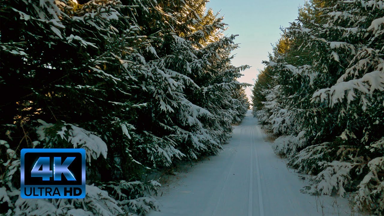 4K Virtual X-Ski - At the Heart of Winter - Hockley Valley - Cross Country Skiing