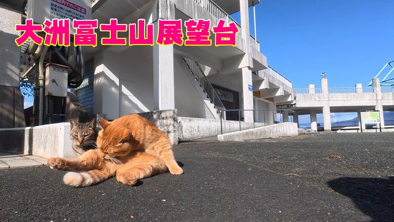 冨士山展望台にて（大洲市）