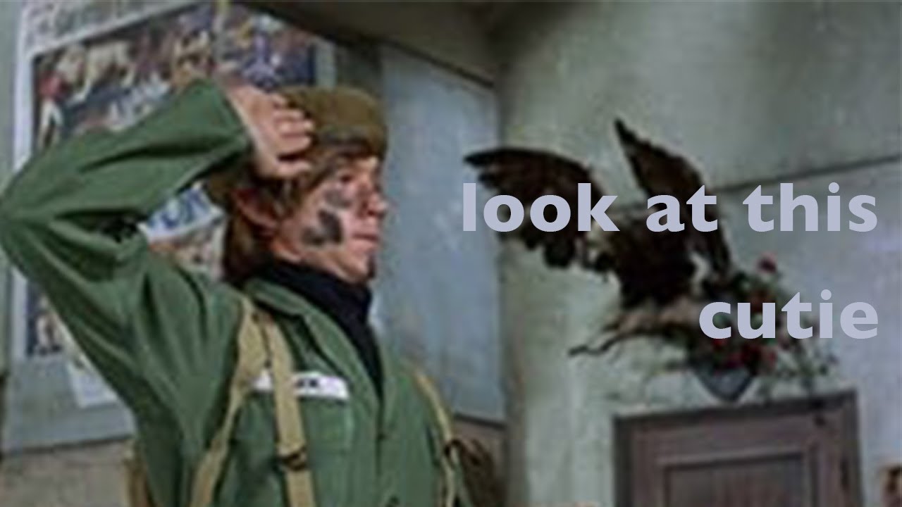 Peter Tork Being Cute For 2 Minutes & 41 Seconds