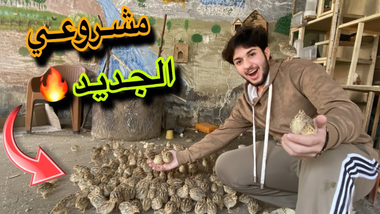 مشروع بي جدا نسبه ارباح 💵شنو تتوقعون المشروع🤔