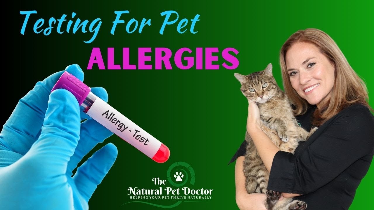 Cat and Dog Allergy Testing ( Blood vs Skin vs Food)