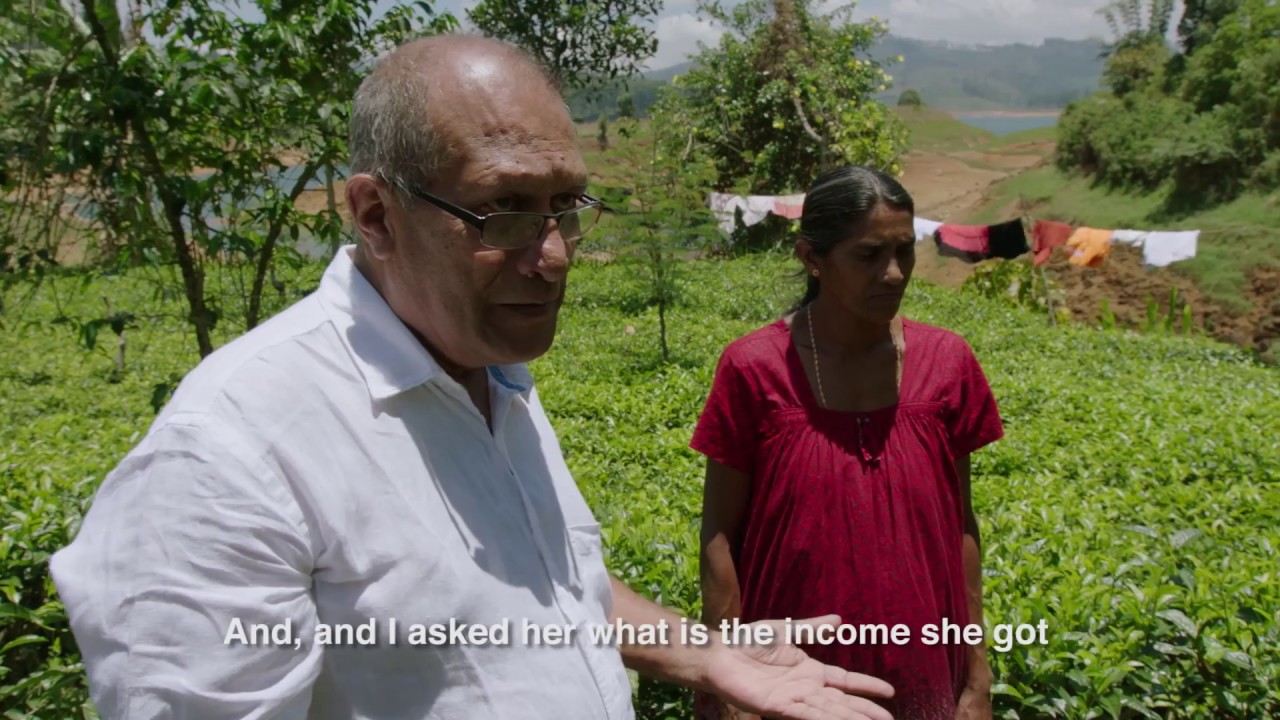 Sri Lankan Tea Farmers Fight Deforestation & Climate Change