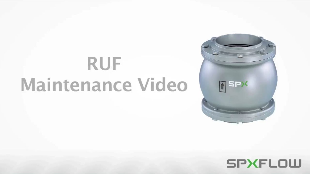 DELTA RUF Check Valve Maintenance Procedures - APV