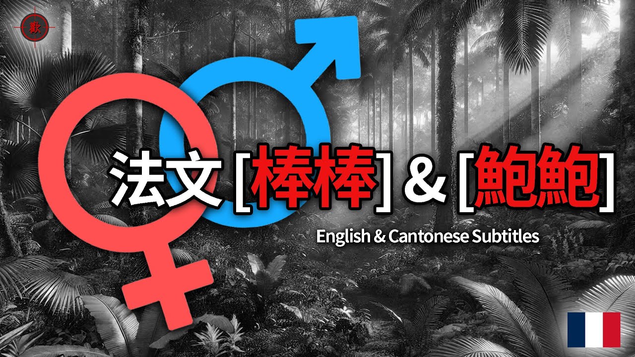 🇫🇷 法文 [一碌𨳊] 同 [一塊閪]  - (廣東話) - MEN & WOMEN'S APPAREL IN FRENCH
