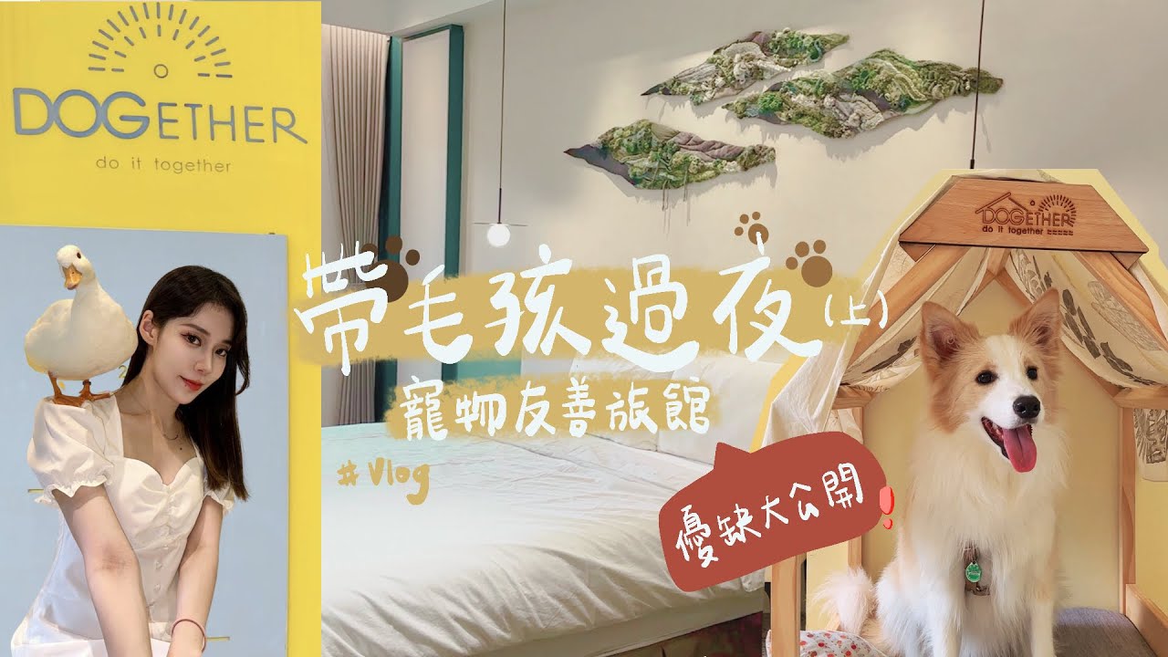 帶毛孩過夜與游泳（上）高雄｜多野樂寵物泳池體驗 多寵家庭的好去處 #vlog｜柯爾鴨｜邊境牧羊犬｜動物心球【心兒】【伊兒】