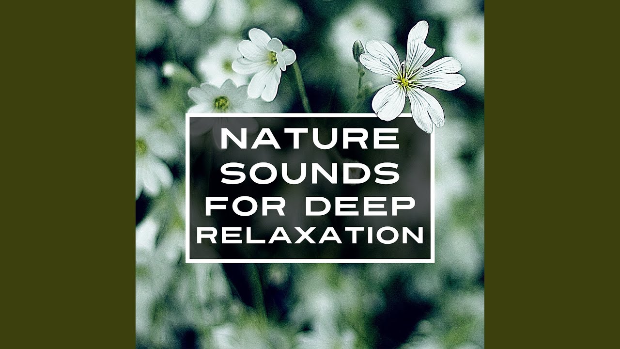 Sounds of Nature