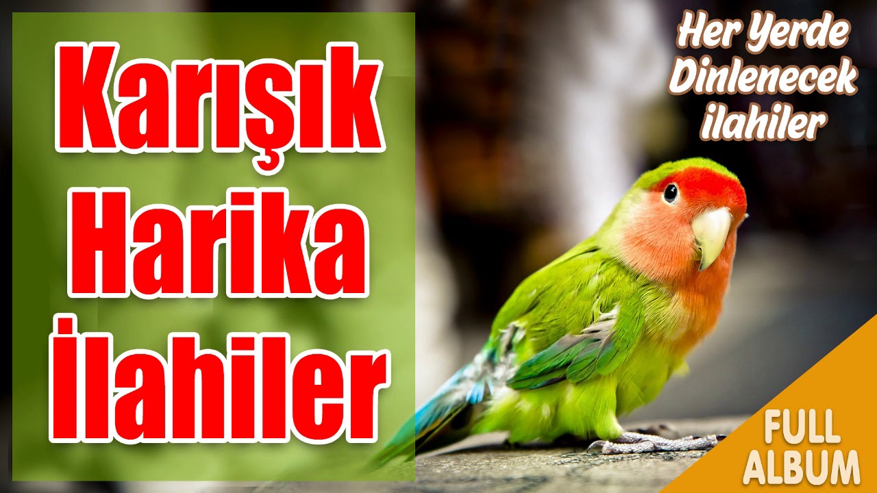 💖 Karışık Harika İlahiler 💖 2021 Yeni İlahileri 💖 Kalbi Titreten İlahiler 🌹En Güzel İlahi Şöleni