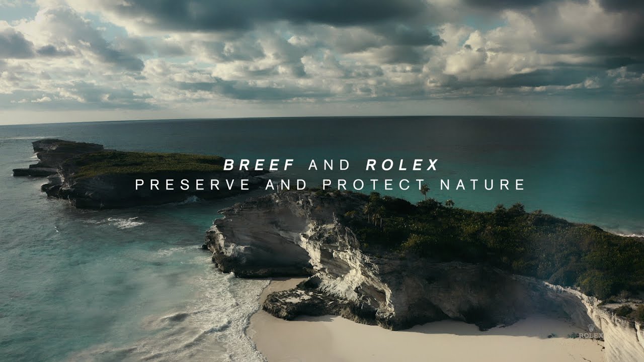 Restore Our Ocean, Protect Our Future