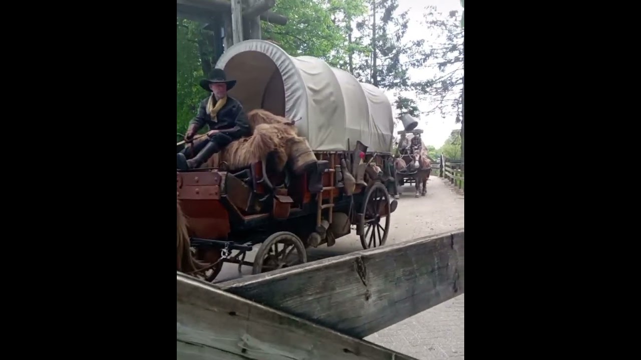PonyparkCity - Cowboy show doorgang! 🤠 📸by Chantal #horses #western #cowboy #country #mules #horse