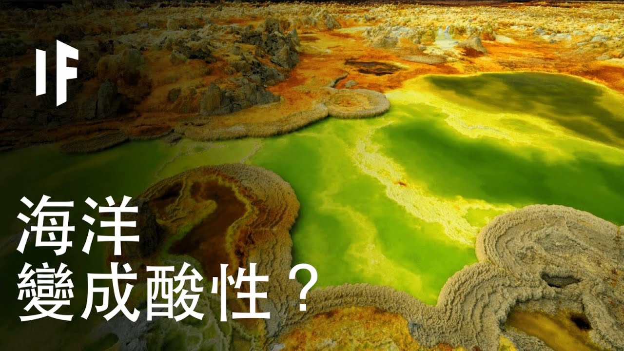 如果海洋變成酸液？｜大膽科學