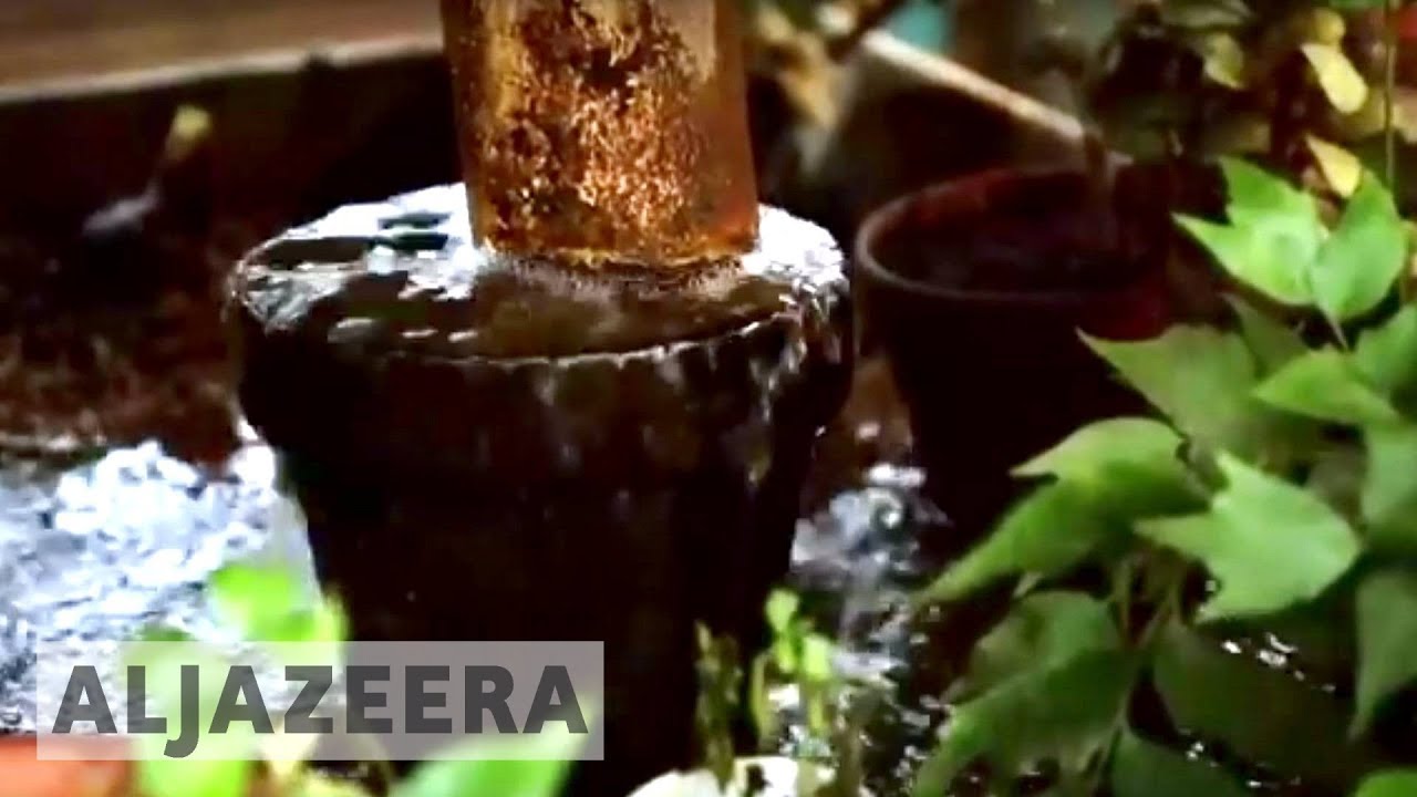 🌏 earthrise - Aquaponics