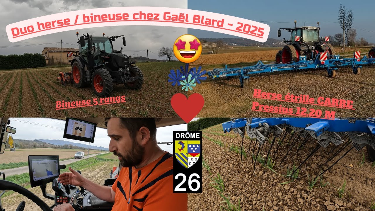 Duo herse étrille / bineuse sur jeune ail et blé chez Gaël Blard - 2025