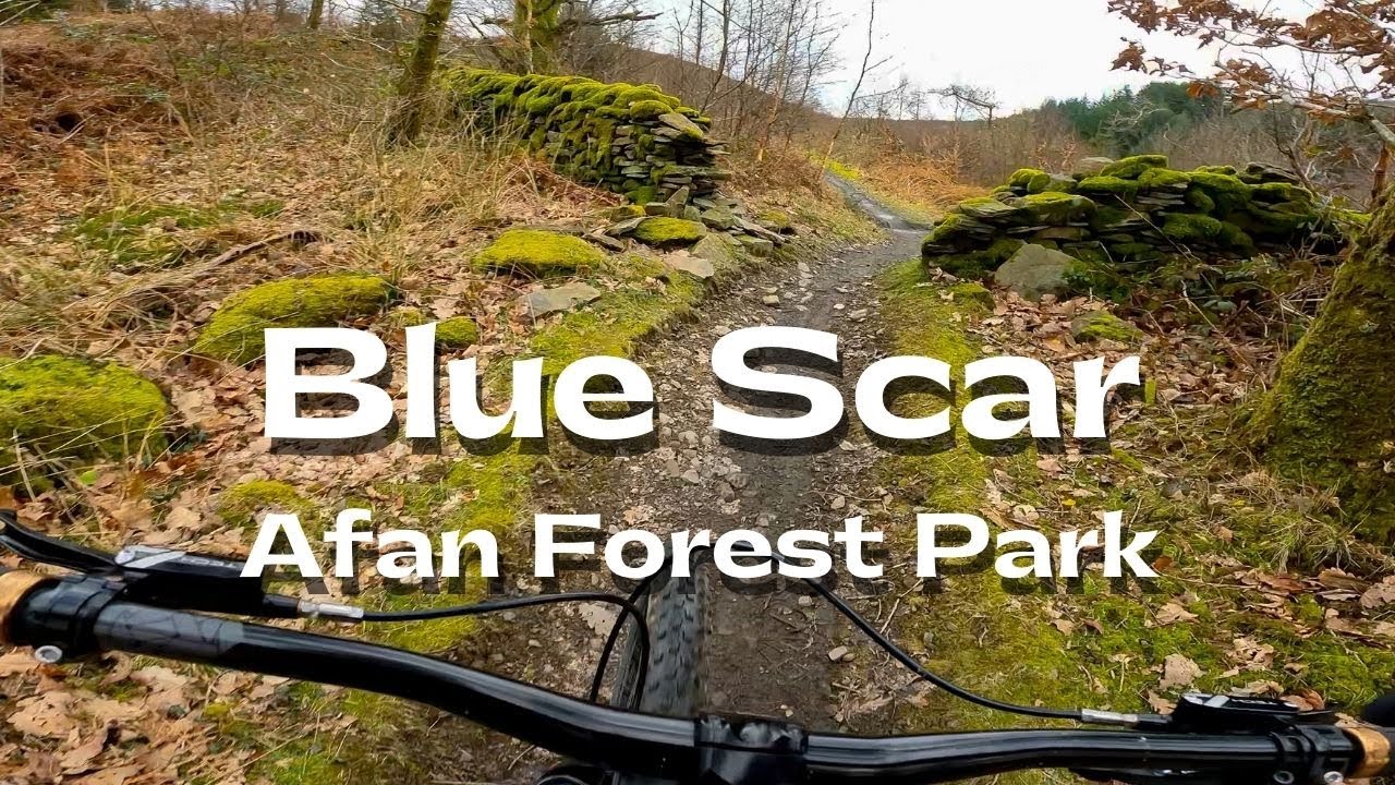 Afan Forest Park - Swoopy Blue Scar