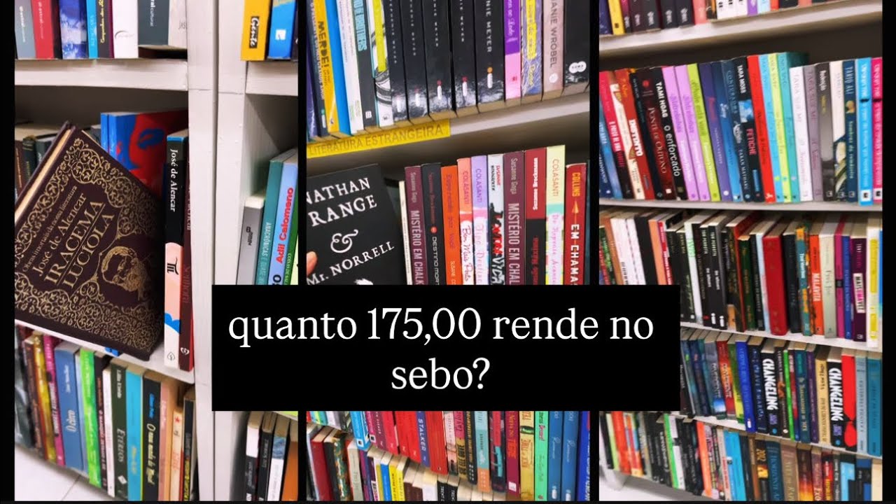os livros que eu levei e os que peguei no sebo 