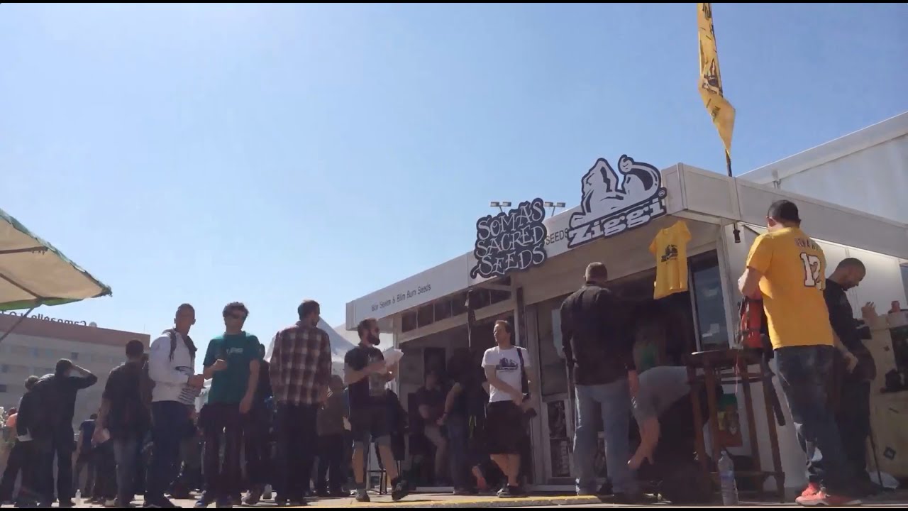 Spannabis 2014 | Looking back