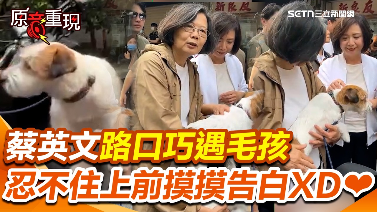蔡英文重回豐原租屋處感動喊：回家的感覺❤️！路口巧遇超萌毛孩 她忍不住上前摸摸告白：我最愛的狗XD｜三立新聞網 SETN.com