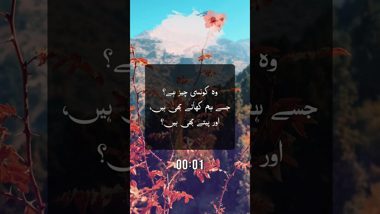 Can You Solve This #urdu Puzzle?! Test Your Brain!