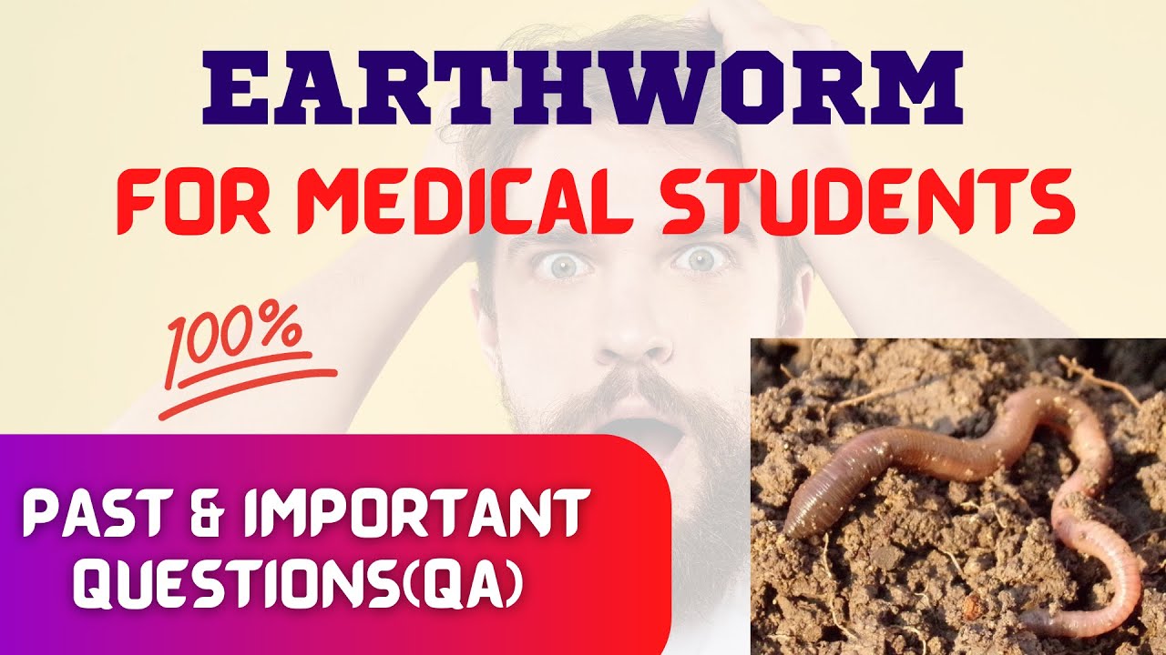 Earthworm MCQs || Important & Past MCQs 😱😱 || Common Entrance Examination CEE IOM KU BPKIHS 🔥🔥