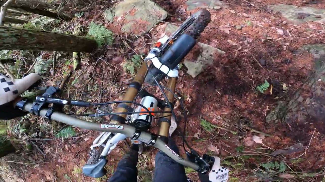 Wales steeps with Kelan 