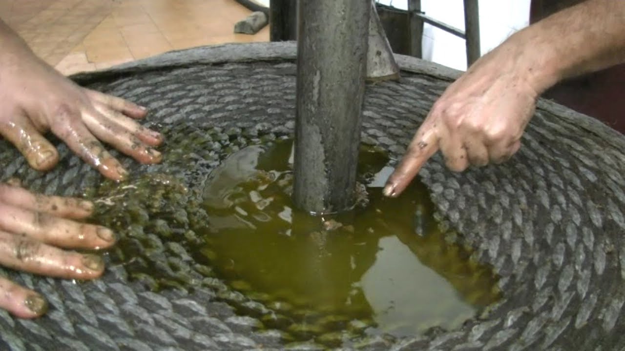 Gestalgar: el olivo, la almazara y sus gentes. El aceite.