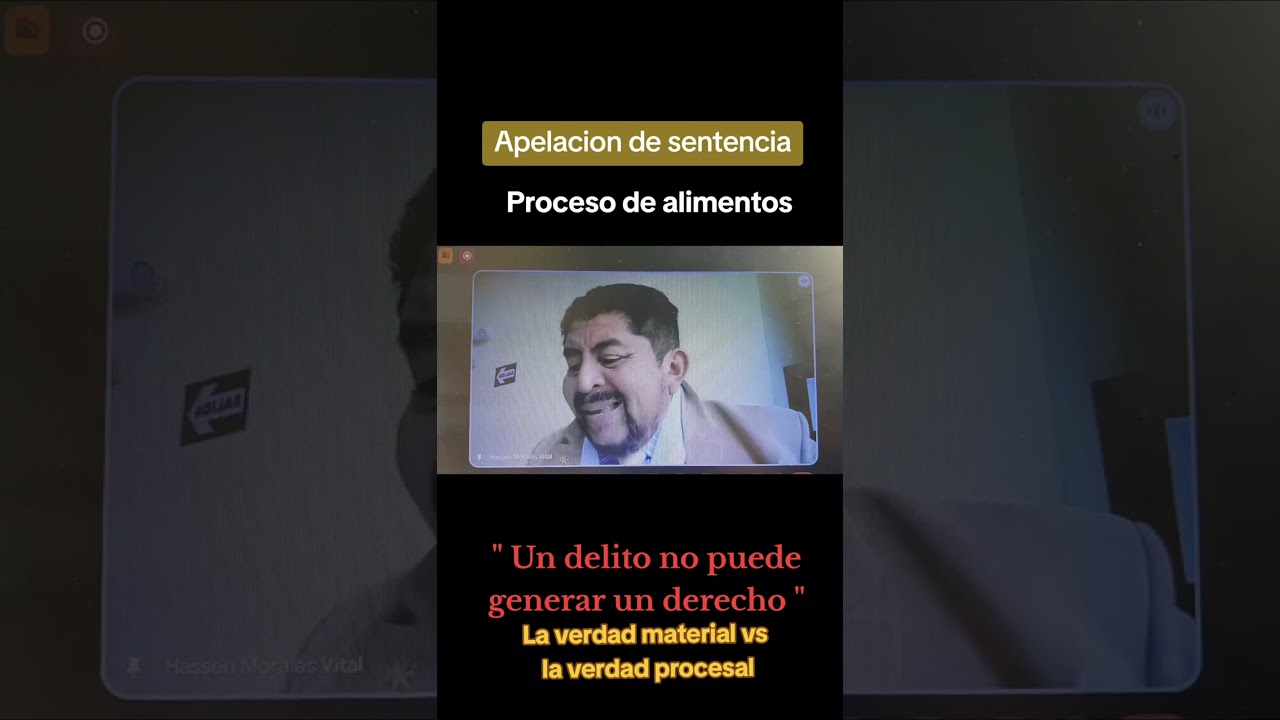 Apelacion de sentencia - proceso de alimentos