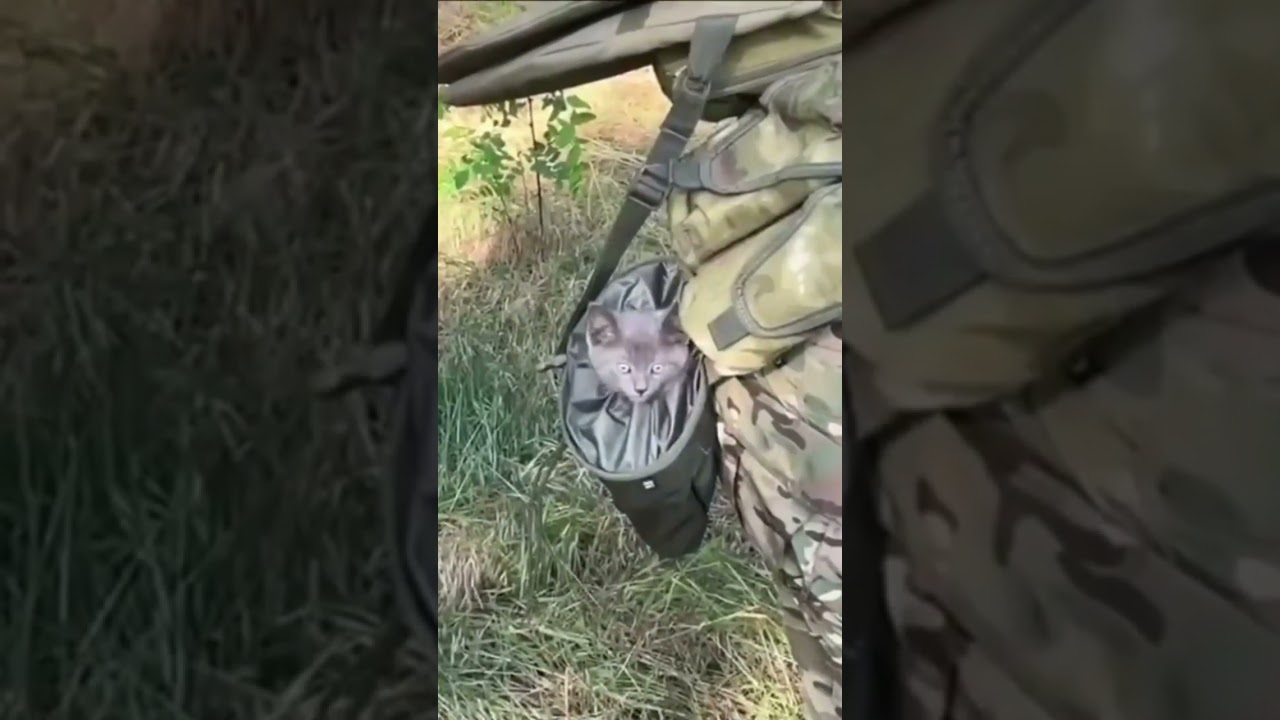 Russian special forces. 