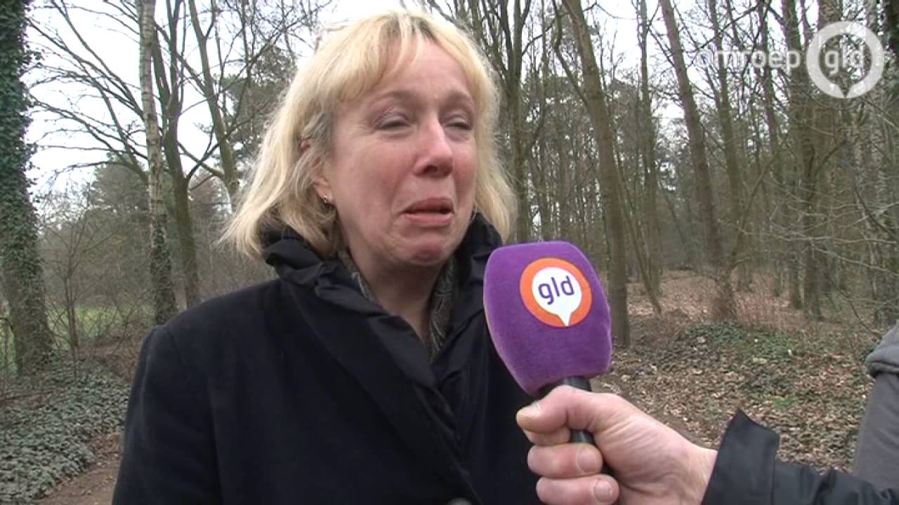 Trein ontspoord na botsing in Almen