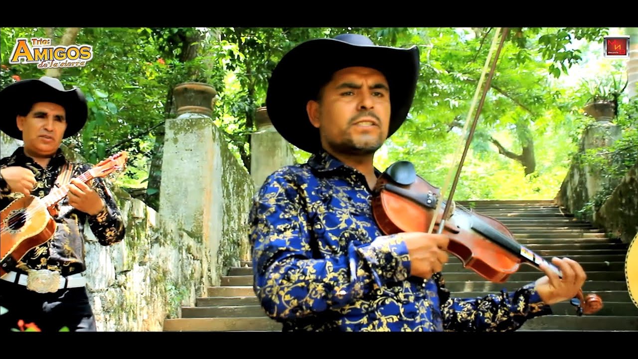 AMIGOS DE LA SIERRA (Video Oficial) - MI ORGULLO ES SER MEXICANO 🇲🇽🇲🇽 ‼️MEGA ESTRENO‼️#estreno