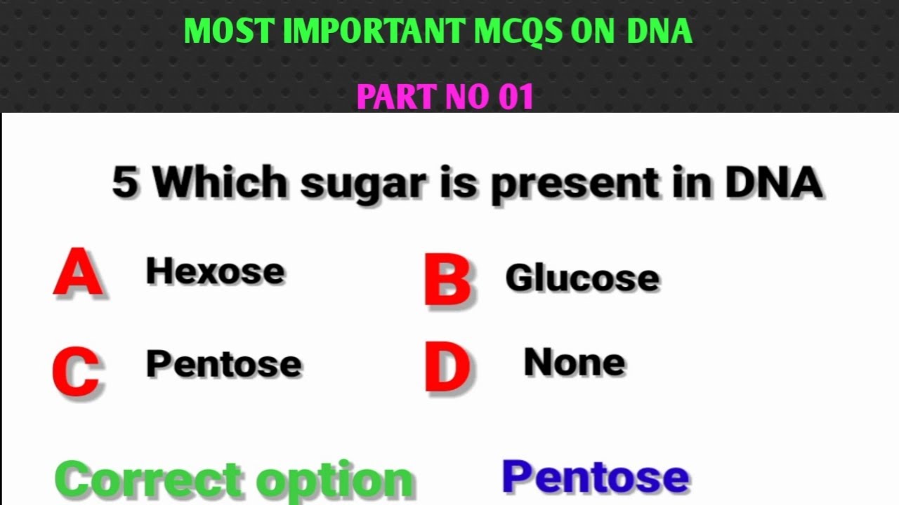 structure of DNA| DNA structure |mcqs on DNA| QUIZ CENTRE