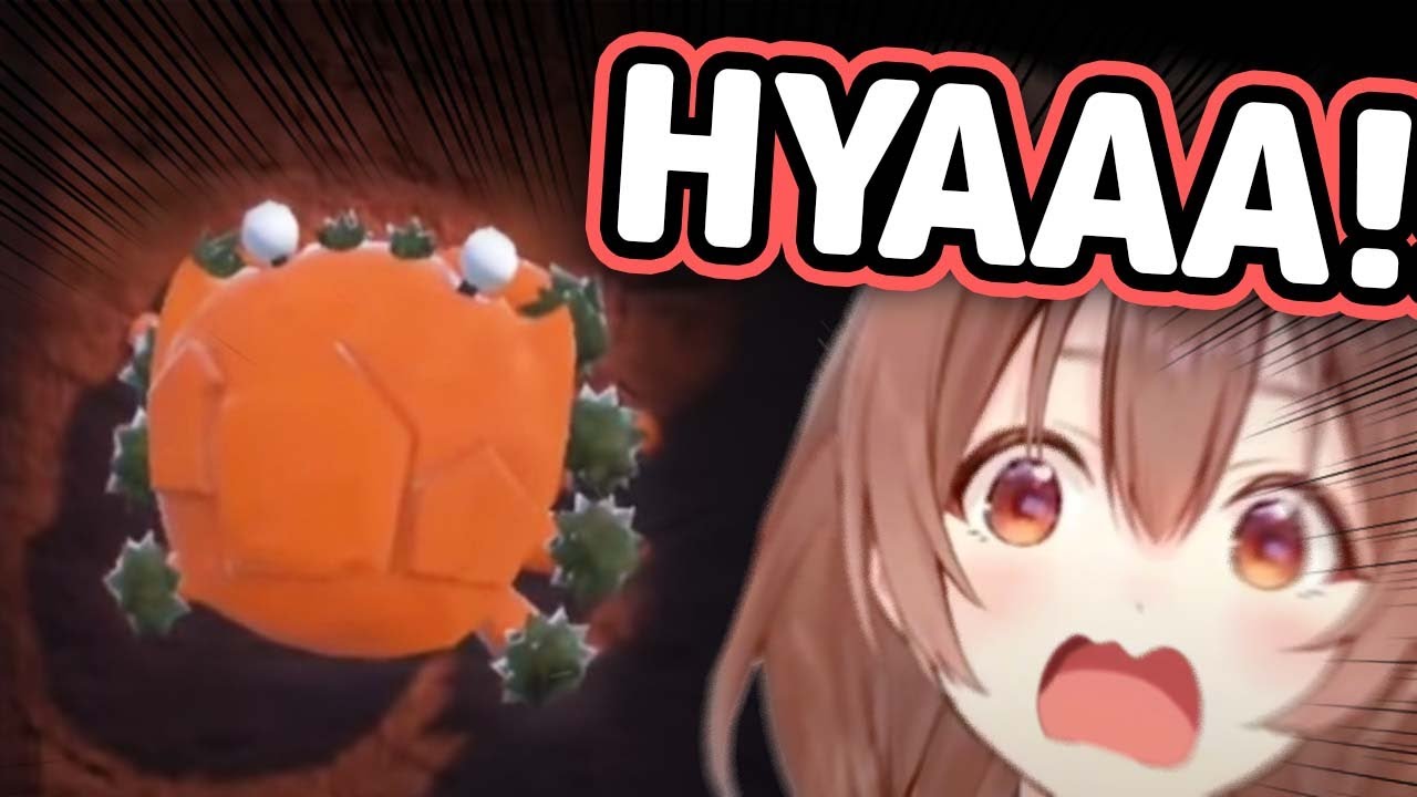 Korone's Reaction To This New Pokemon Is PRICELESS【Hololive】