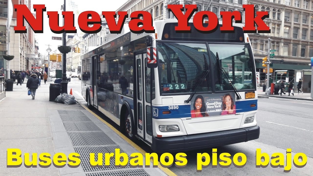 Nueva York - Buses Urbanos Piso Bajo