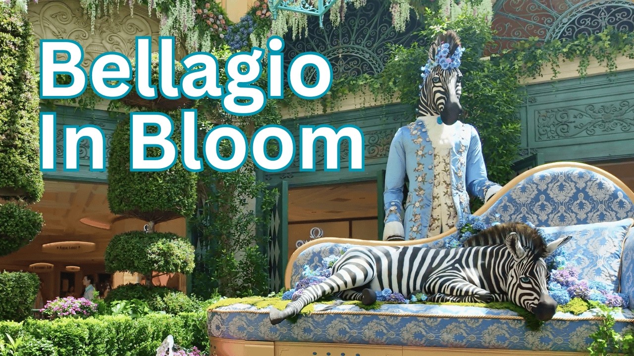 Bellagio Conservatory Latest Transformation