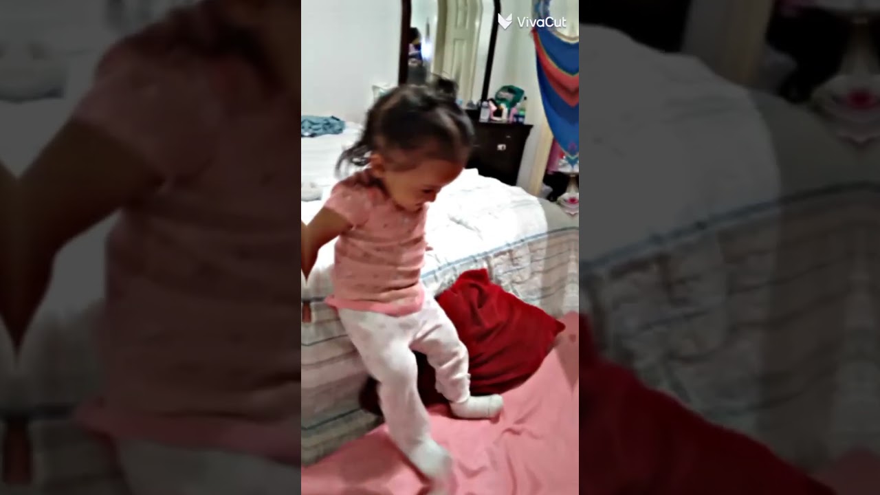 El p&aacute;jaro  loco  y su canci&oacute;n