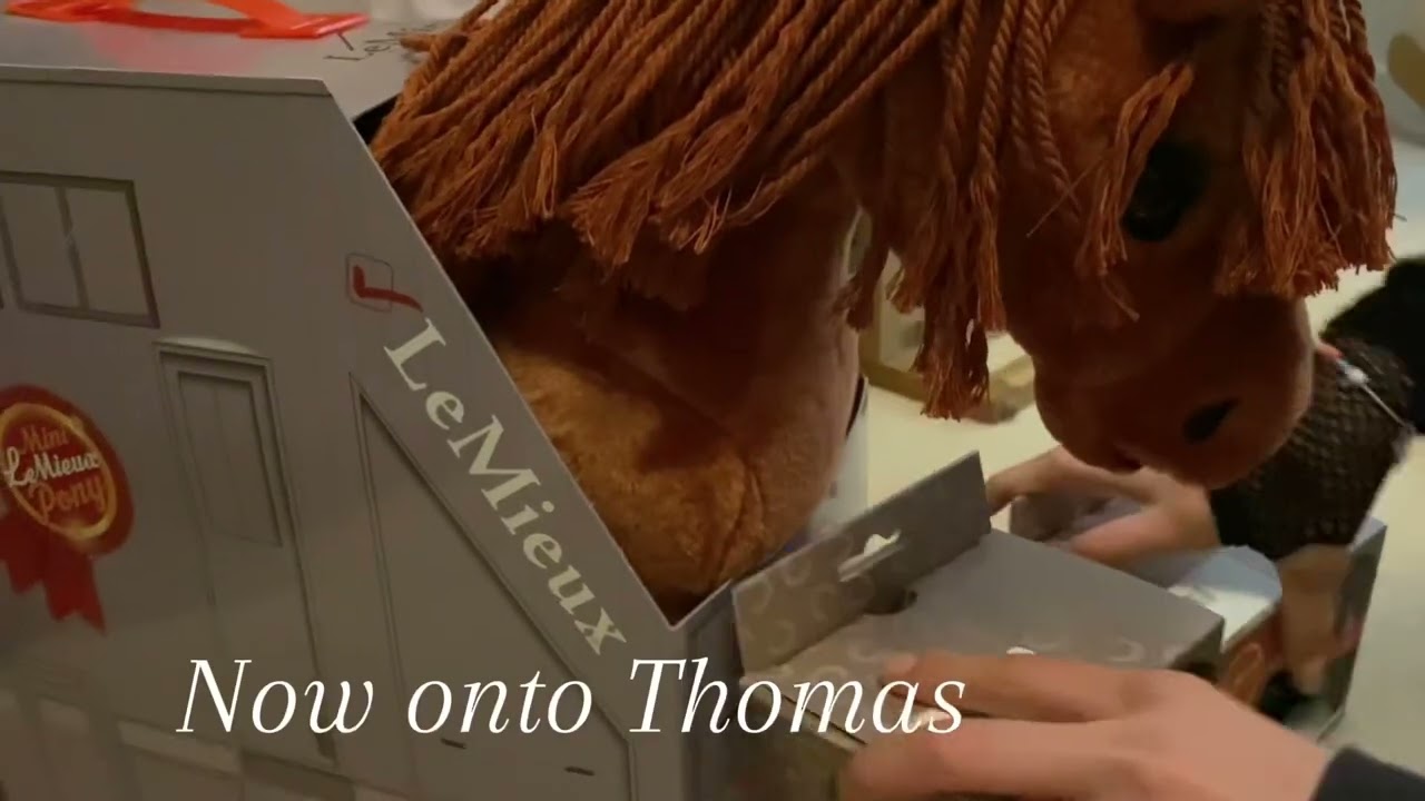 Unboxing a Lemieux Toy Ponies And Lots of Accessories + Brushes!