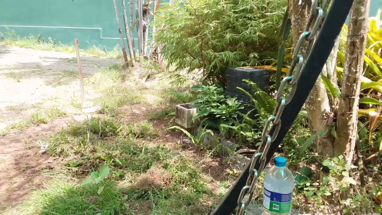 The first step in landscaping a garden is called hard landscaping, which is really hard.