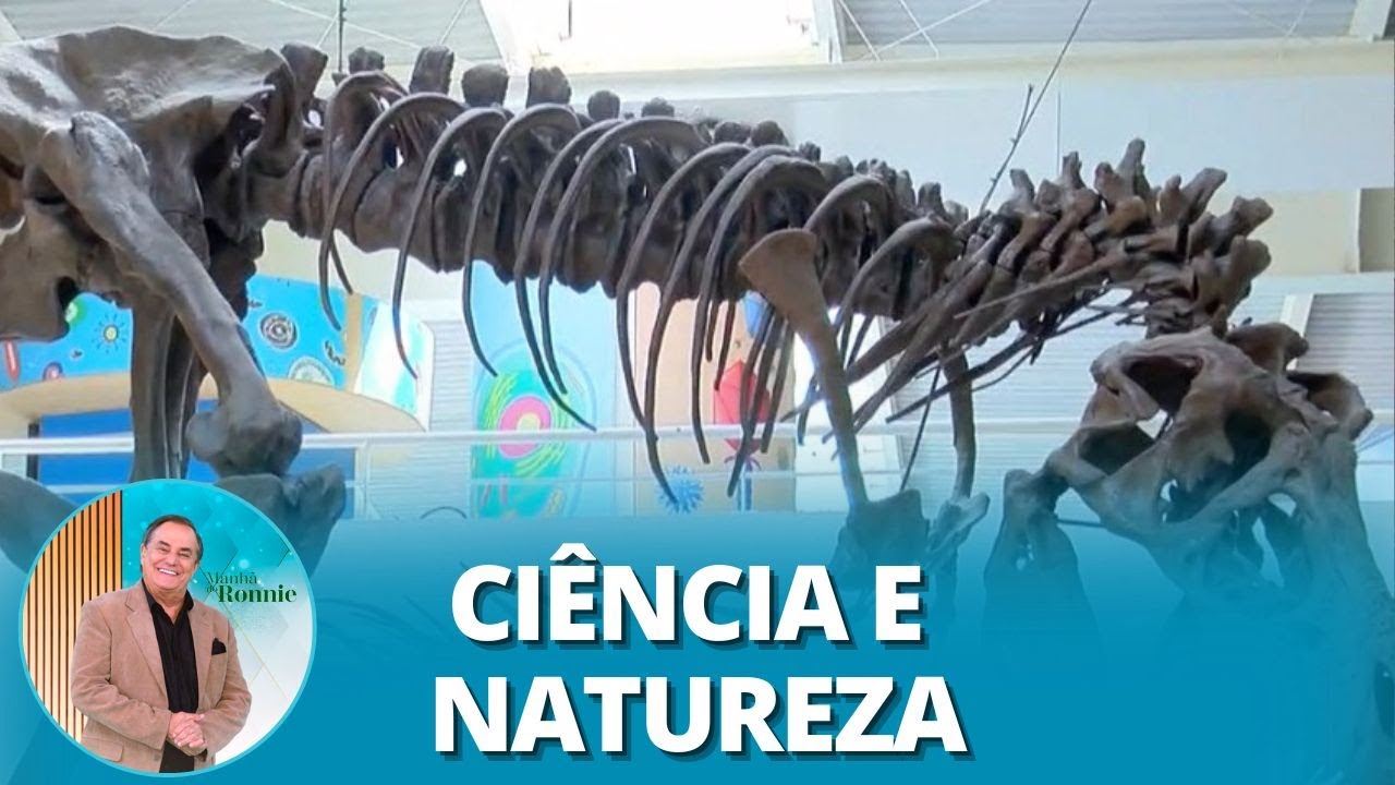 Conheça o Parque Sabina: um grande laboratório pedagógico fora da escola