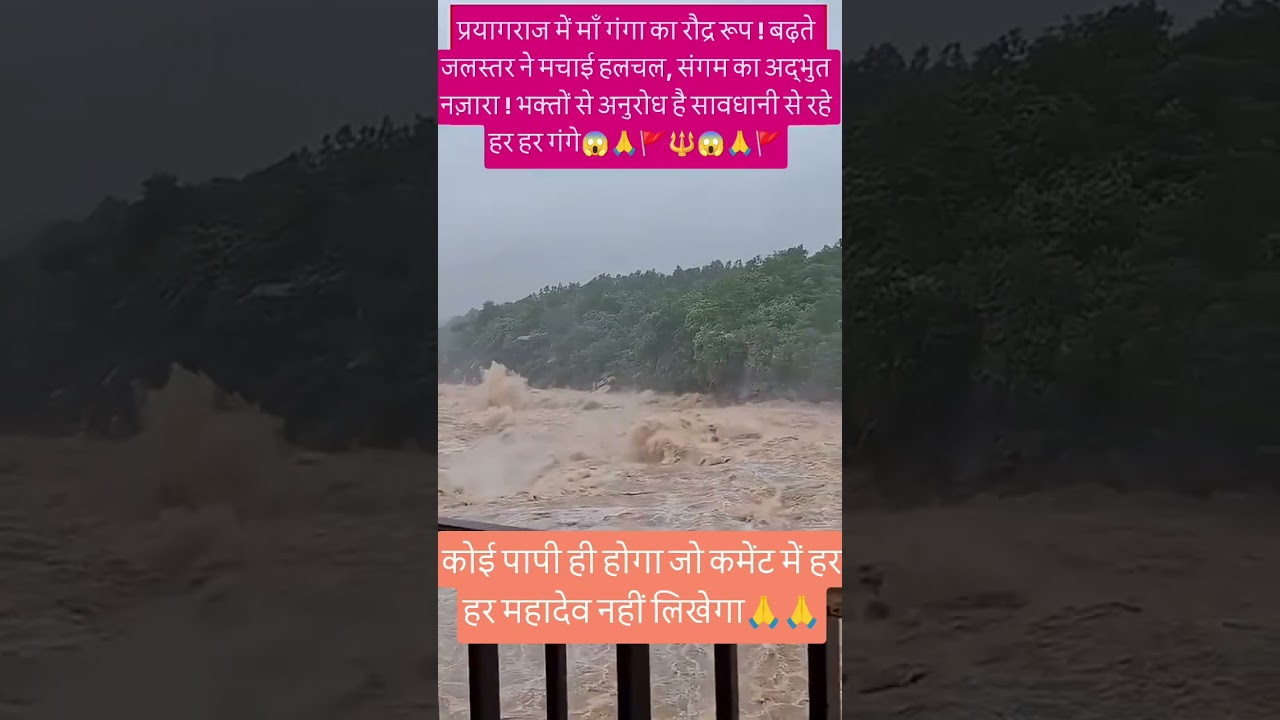 प्रयागराज में मां गंगा का रौद्र रूप🙏🚩 #prayagraj#gangariver #heavyrain #gangaflood #flood