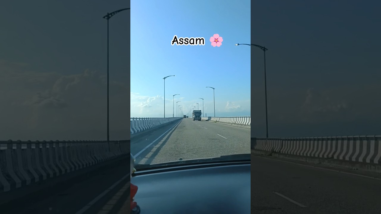 Assam 🌸 