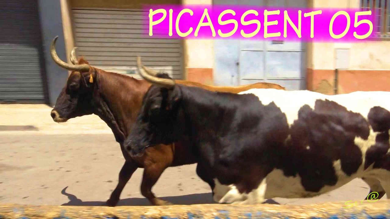 ✅2023 PICASSENT 05 ENTRA Machancoses
