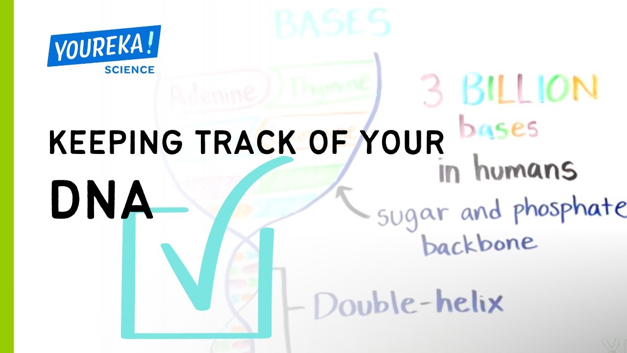 Keeping Track of Your DNA
