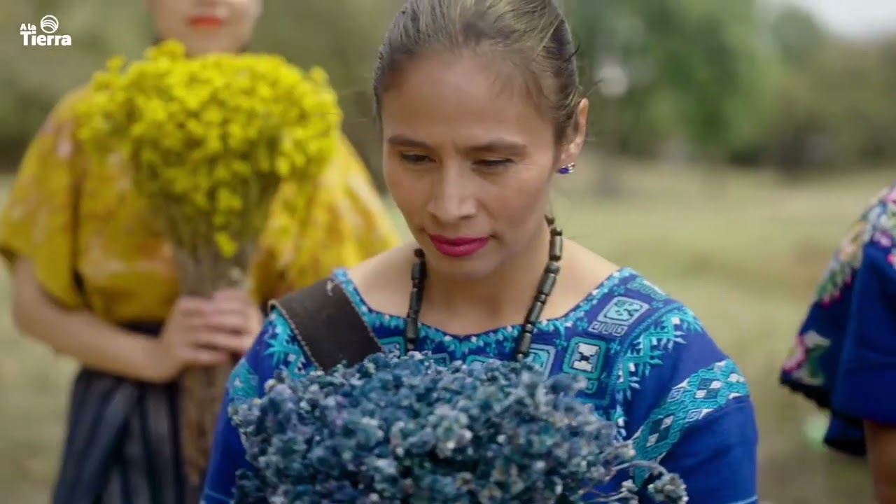Danzas en honor a la madre tierra