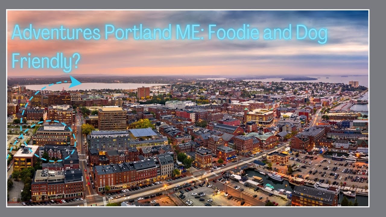 Adventures Portland ME: Foodie & Dog Friendly?